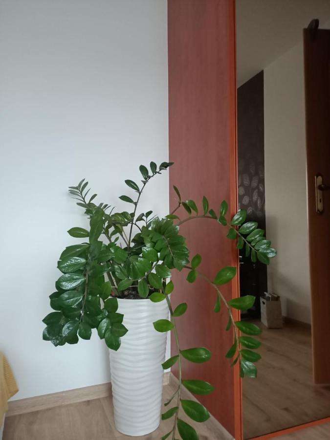 Pomaranczowa Apartment *