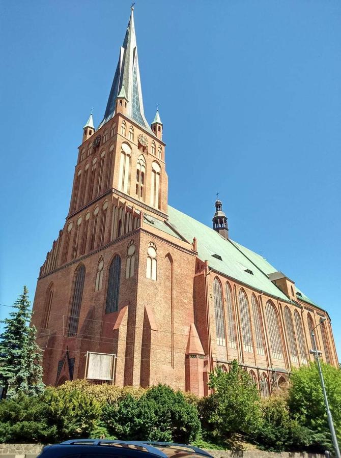 Pomaranczowa